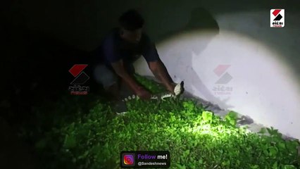 વડોદરા સેન્ટ્રલ જેલમાં મગર ઘૂસી જતા કેદીઓમાં ફફડાટ