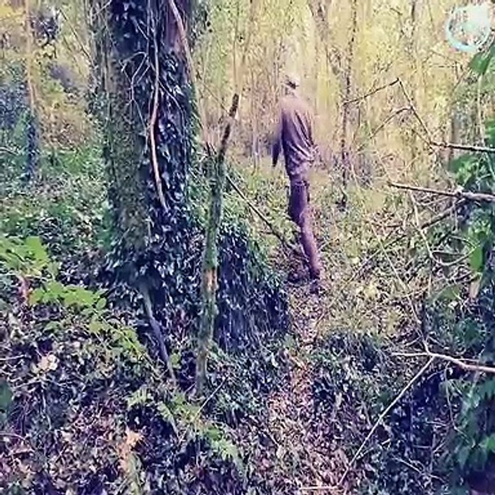 This 60 year old uncle's construction skills are amazing. Building a Yoda's Hut! The best survival and warm amazing shelter (part #1)