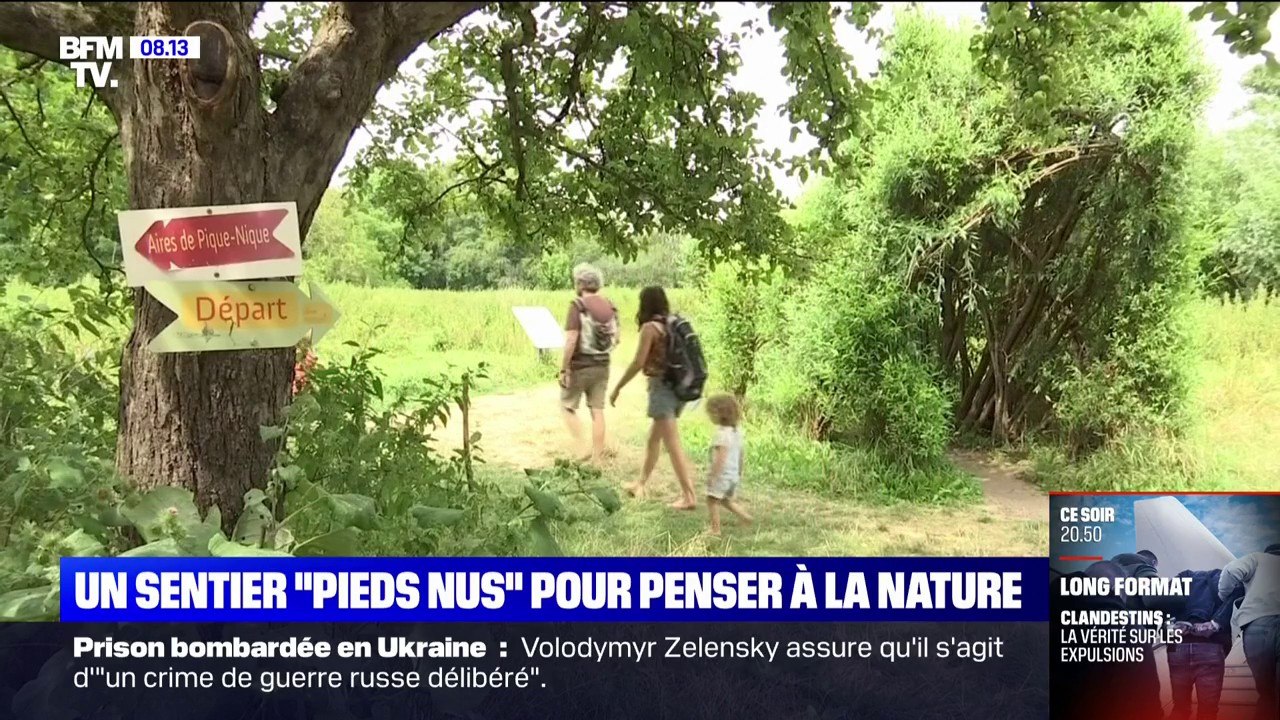 C'est vos vacances: parcourez tout un sentier pieds nus en Alsace pour retrouver des sensations