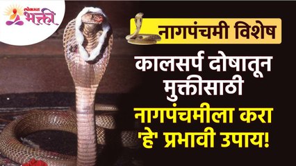 नागपंचमीला कालसर्प दोषापासून मुक्ती मिळण्यासाठी कोणता उपाय करावा? Naagpanchami 2022 | Kaalsarp Dosh