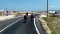 Atı motosiklete bağlayıp yaptıklarıyla dehşete düşürdü! O anlar saniye saniye kamerada