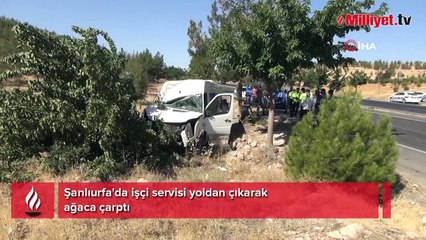 İşçi servisi yoldan çıkarak ağaca çarptı: 15 yaralı