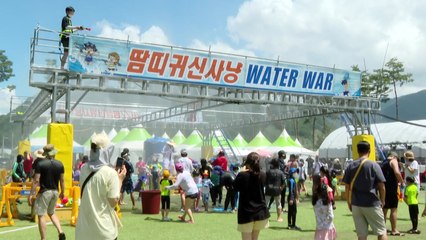 "찰옥수수 맛보러 오세요!"...여름축제 본격 시작! / YTN