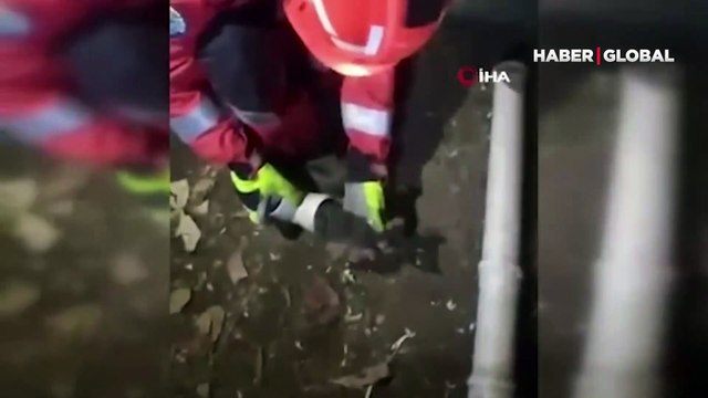 Boruya sıkışan kedi yavrusunu itfaiye ekipleri kurtardı... O anlar kamerada