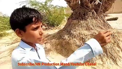 MARDUM GAREEB MABAT|Balochi Film |A Film by Hammal Noor |Coming Soon