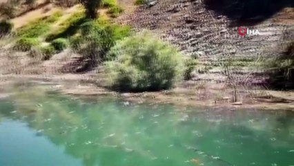 Kayıp hemşireyi arama çalışmaları 49'uncu gününde