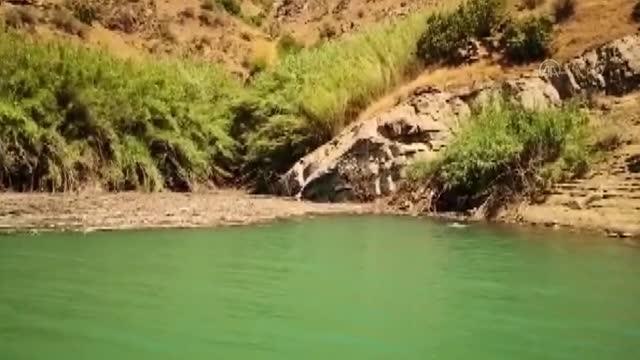 Müküs Çayı'nda akıntıya kapılan hemşireyi arama çalışmaları 50 gündür sürüyor