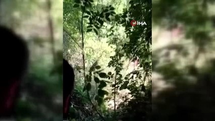 Son dakika 3. sayfa: Ormana uyuşturucu madde eken şahıslara operasyon kamerada