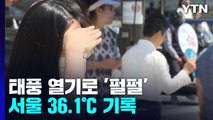 [날씨] 태풍 열기로 펄펄, 서울 올최고 36.1℃...제주·남해안 집중 호우 / YTN