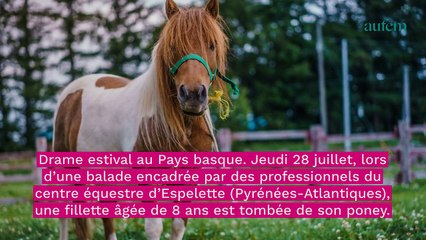 Download Video: En vacances au Pays basque, une fillette de 8 ans meurt après avoir chuté d'un poney