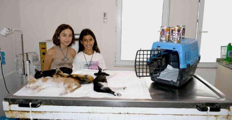 Aydın haber... Kuşadası'nda patili dostlar için kalpleri ısıtan yardımlaşma