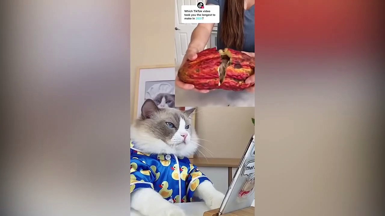 That Little Puff Tiktok Compilation  (3)