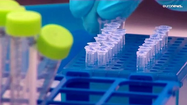 В Европе зарегистрировали второй случай смерти от оспы обезьян