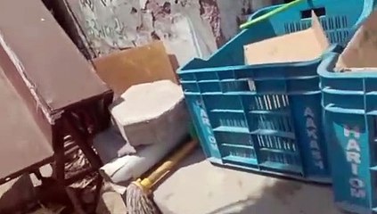 तीन स्थानों पर हटाए अतिक्रमण, ठेले-गाड़े व पलंग जब्त