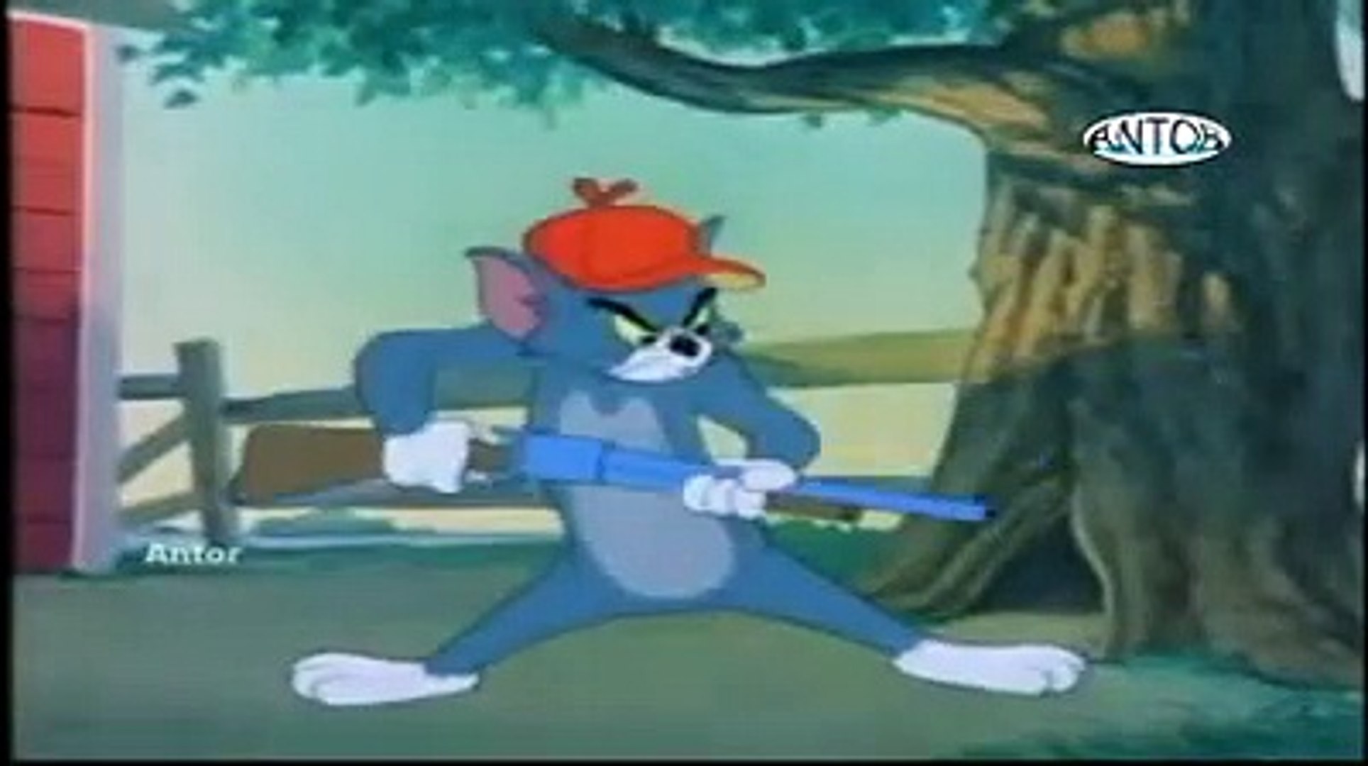 TOM JERRY Bangla Cartoon EPISODE 33 Bangla Cartoon Sites