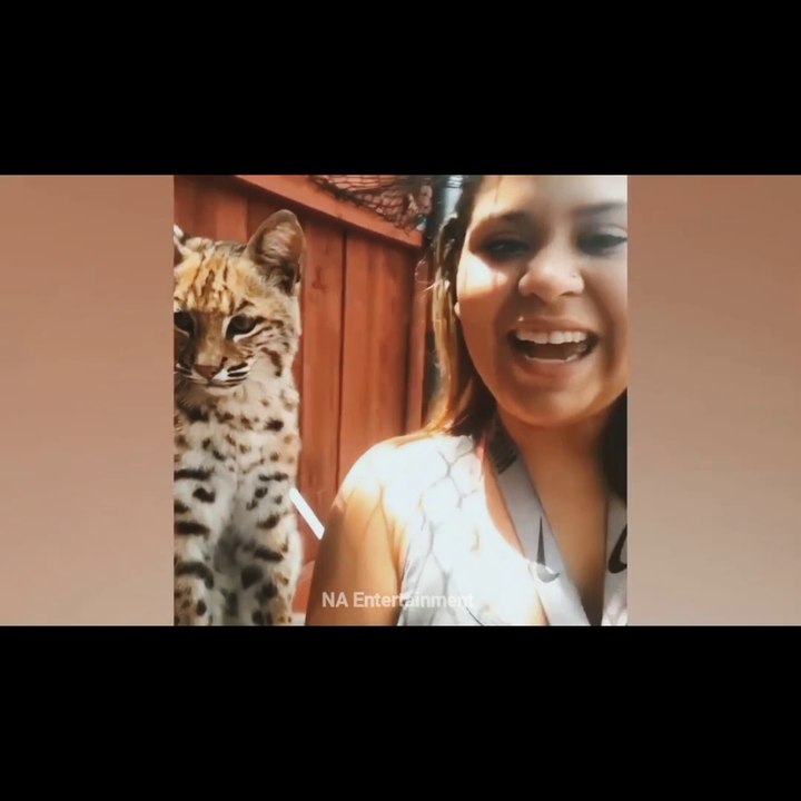 unexpected animals attack!  Part 1