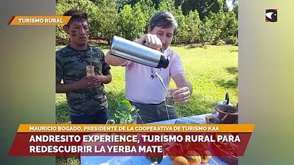 Andresito Experience: Turismo rural para redescubrir la cultura y naturaleza de la yerba mate
