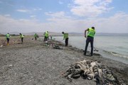 Van haberleri... Belediye ekipleri Van Gölü sahilindeki çöpleri topladı