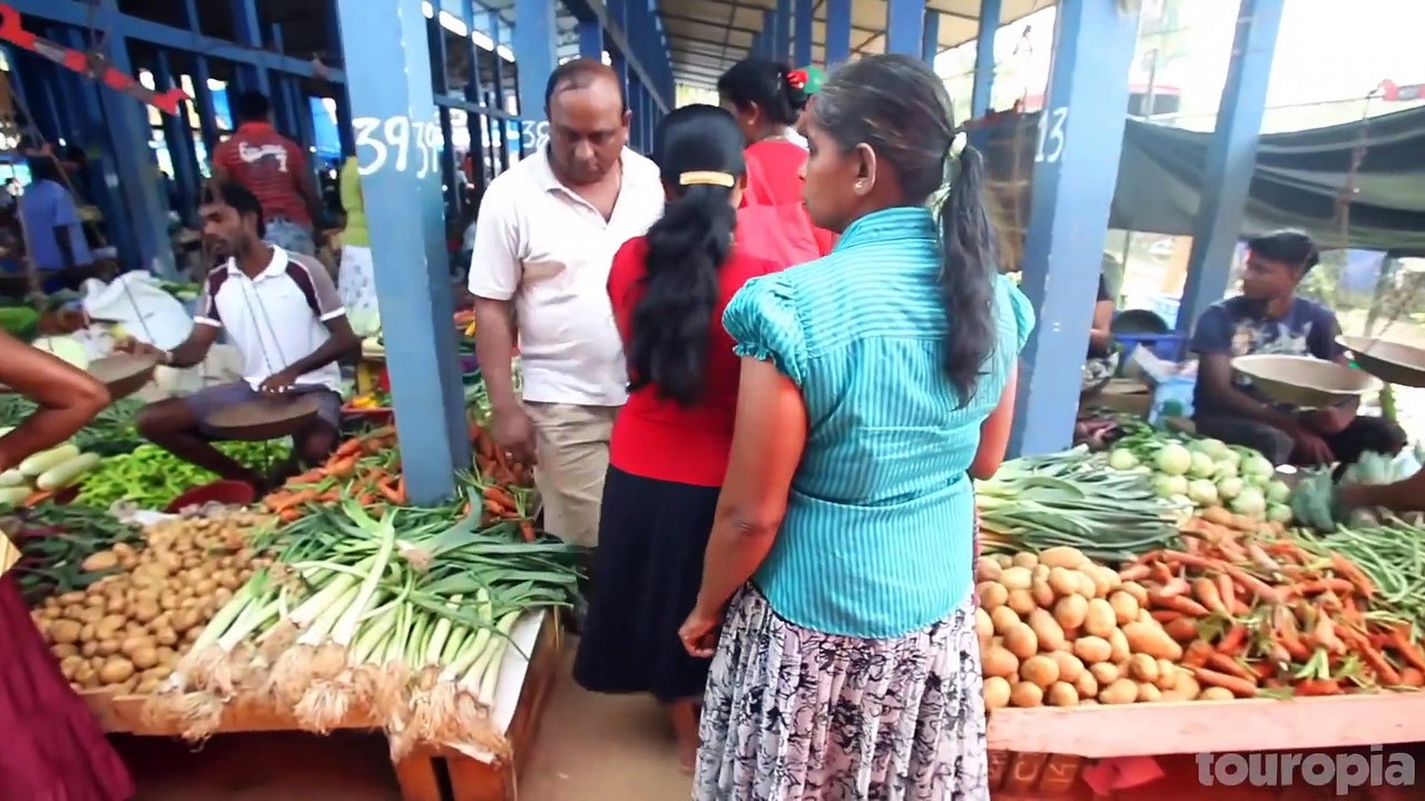 10 Best Places to Visit in Sri Lanka - Travel Video