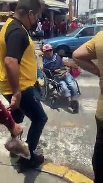 Un perro empuja la silla de ruedas de su dueño, una persona con discapacidad