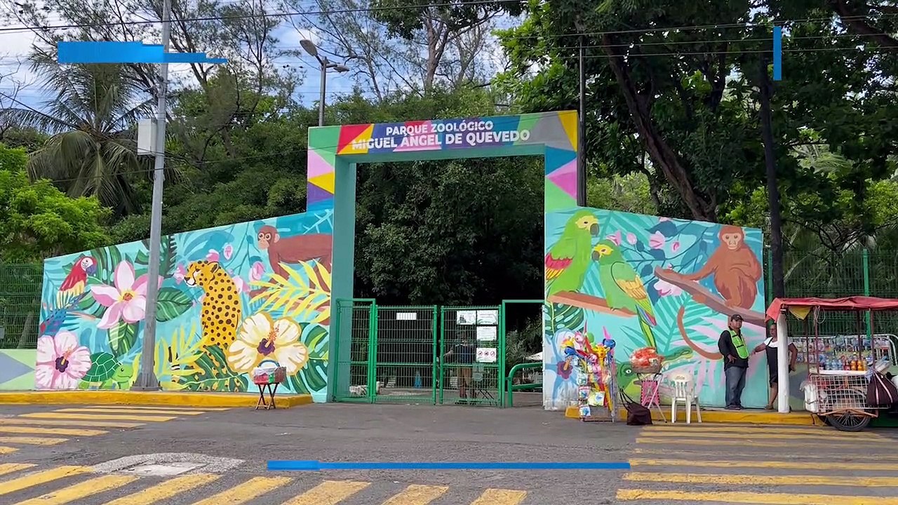 Buscan ampliar el número de animales del zoológico de Veracruz