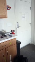 How I’m Different from a Light Bulb 💡