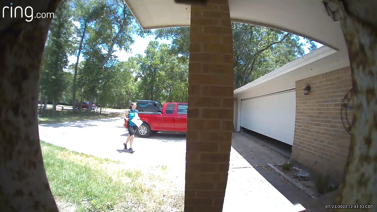 Amazon Delivery Driver Greets Sweet Pup
