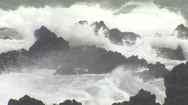 [날씨] 오늘 전국 비, 곳곳 호우...해안가 강풍 주의 / YTN