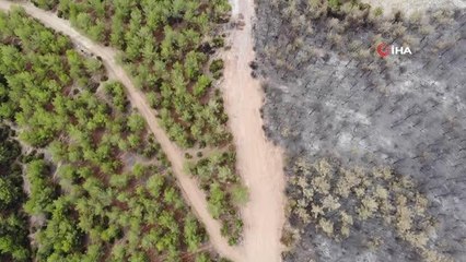 Son dakika haber... Yangın emniyet şeritleri binlerce hektar alanı kül olmaktan kurtarıyor