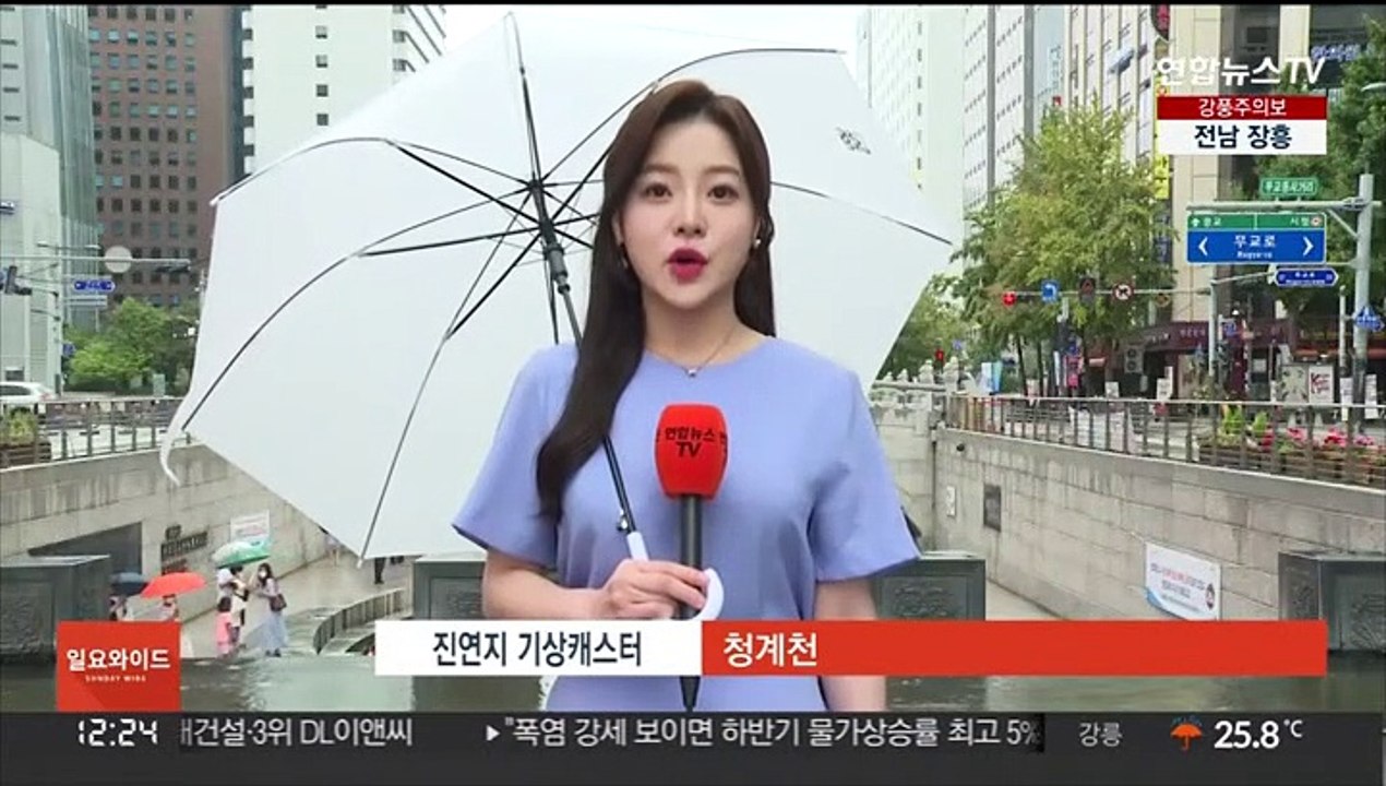 [날씨] 휴일 전국 비, 남해안·제주 국지성 호우…더위 주춤