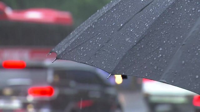 [날씨] 모레까지 전국 비...해안가 '너울성 파도' 주의 / YTN