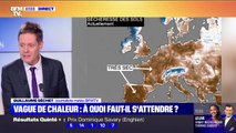 La sécheresse s'accentue en France et les prévisions de précipitations ne sont pas rassurantes