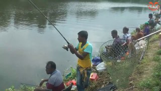 Traditional Hook Fishing in Jute Field River __ Amazing Fishing __ Jute Field Fishing