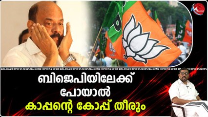 പാലായിലെ ചങ്ക് ബ്രോ ആണയിടുന്നു ബിജെപിയിലേക്ക് പോകില്ലെന്ന് ! വിശ്വസിക്കാമോ ?