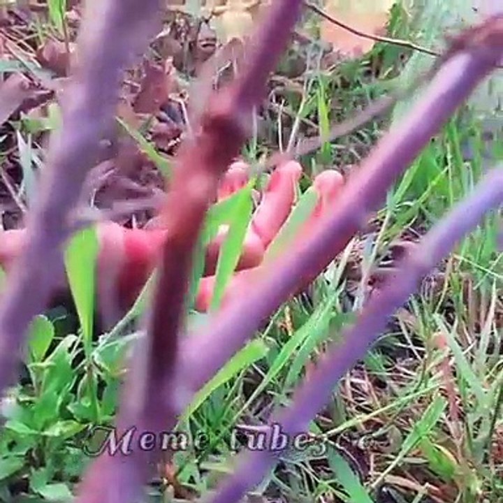 Mahes Babu action movies || action movies Hindi || Hindi film || action best movie #actionmovies #superhit #bestmovie