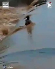 «لا تستسلم للتعب».. مشاهد مؤلمة لأب يشاهد ابنه الوحيد تغمره السيول