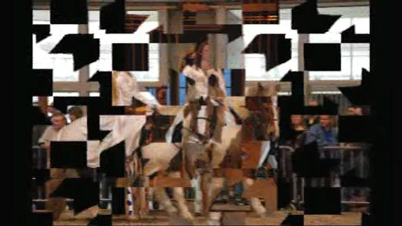 Diaporama salon du cheval Mons 2008