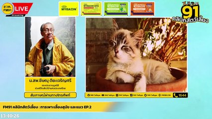 การเพาะเลี้ยงสุนัข และแมว EP.2 : FM91 คลินิกสัตว์เลี้ยง : 30 กรกฎาคม 2565