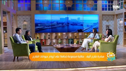 شارع اليف.. مبادرة لمواجهة العنف ضد الحيوانات