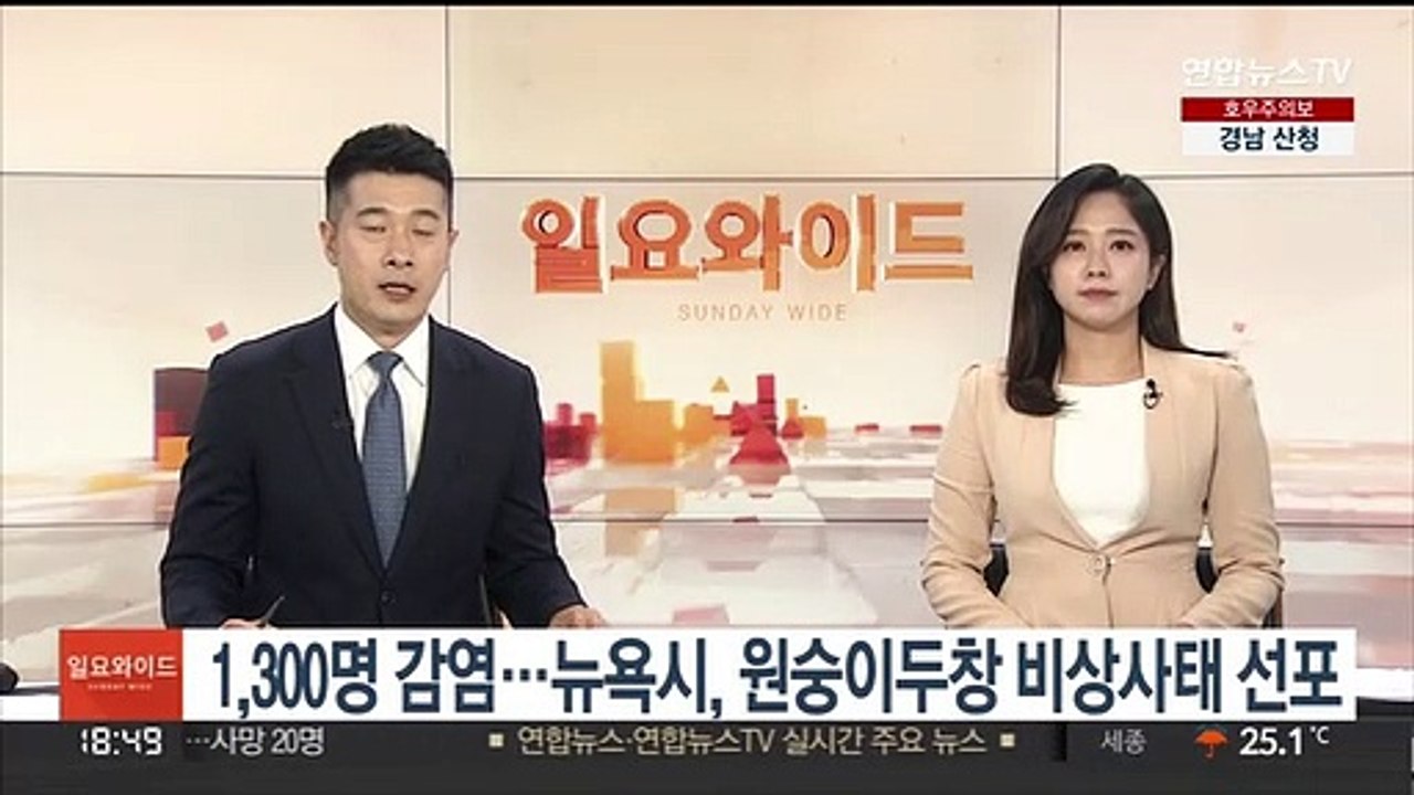1,300명 감염…뉴욕시, 원숭이두창 비상사태 선포