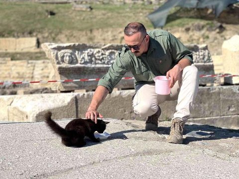 Anne kedi ve yavruları antik kentin maskotu oldu