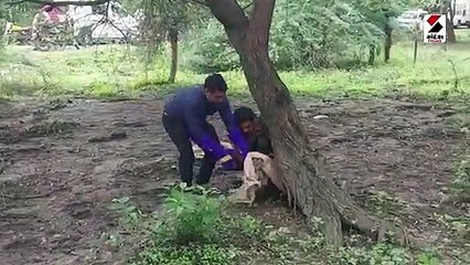 સંખેડામાં દીપડાના બચ્ચાનું લાઈવ રેસ્ક્યુ કરવામાં આવ્યું