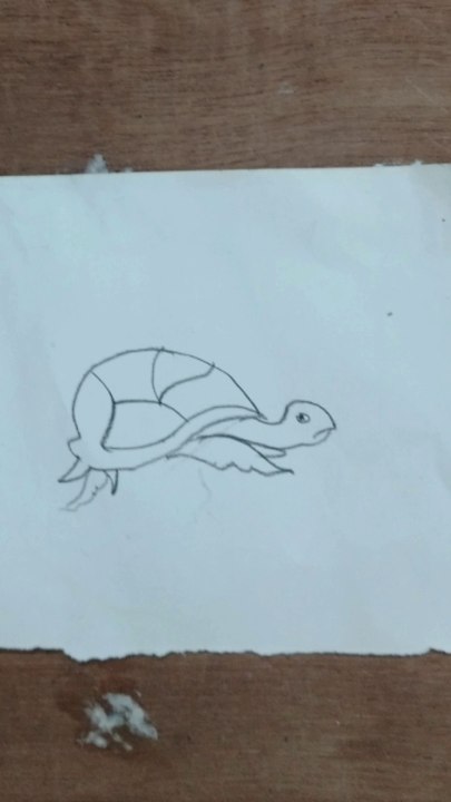 How to draw Tortoise easy