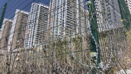 Ankara’da site bahçesine jiletli tel çekilmesine hayvanseverlerden tepki