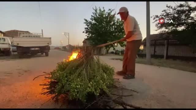 Asırlık gelenek tarih oluyor: Nohut ütmesi geleneği çağa direniyor