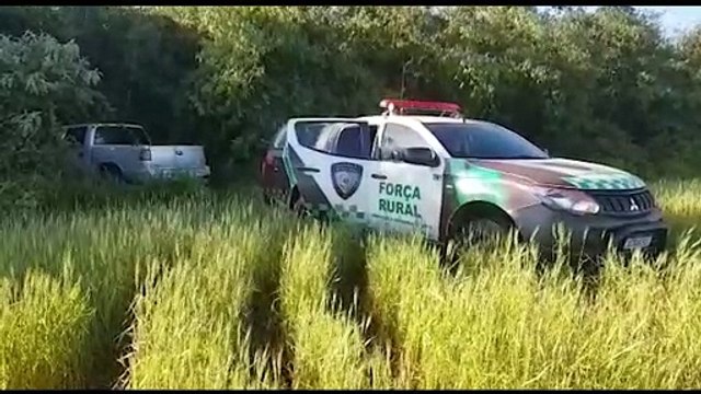 Ladrões tentam esconder caminhonete furtada em meio a mato, mas veículo é recuperado pela GM