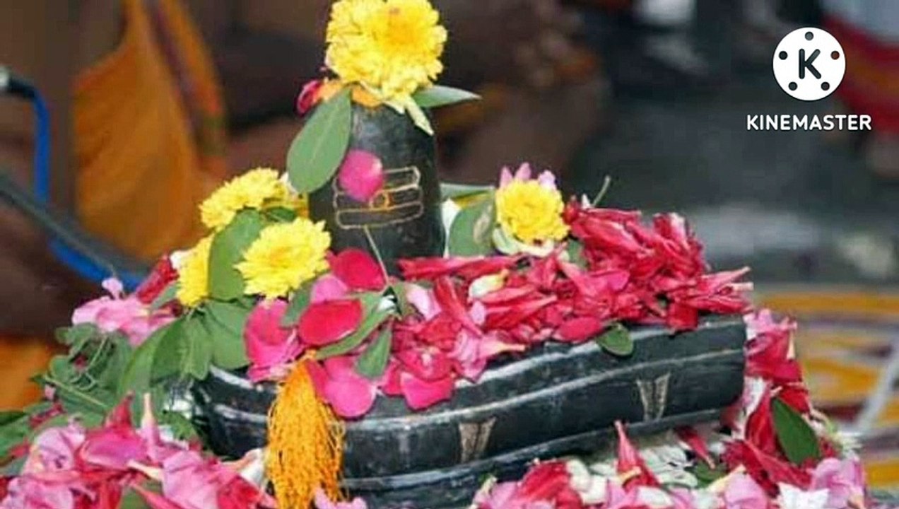 सावन सोमवार के दिन शिवलिंग पर चढा दो यह १ चीज _dr.vasant vijayji maharaj_डॉ.वसंतविजयजी महाराज