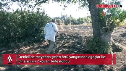 Denizli’de korkutan yangın! Arı kovanları küle döndü