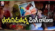 Hyderabad City People In Panic Situation With Increase Of Mosquitoes _ Dengue Fever _ V6 News