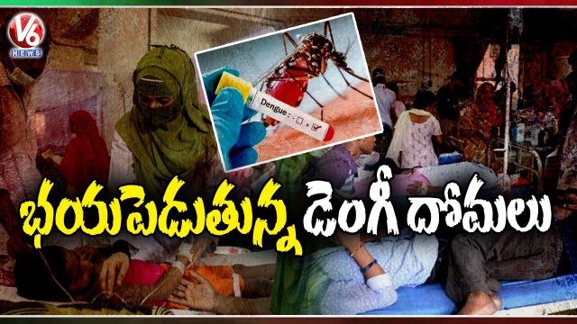 Hyderabad City People In Panic Situation With Increase Of Mosquitoes _ Dengue Fever _ V6 News